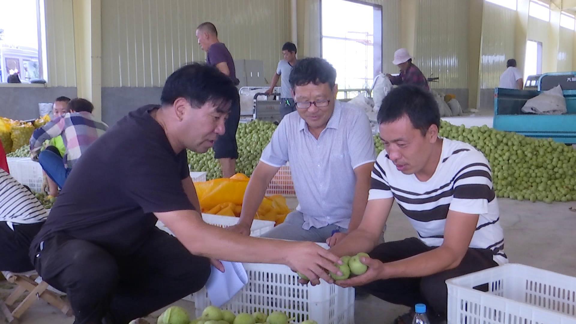 努力辛勤，成功不到，誰云上天會公道是什么生肖,警惕虚假宣传、全面解答、实证解答解释落实